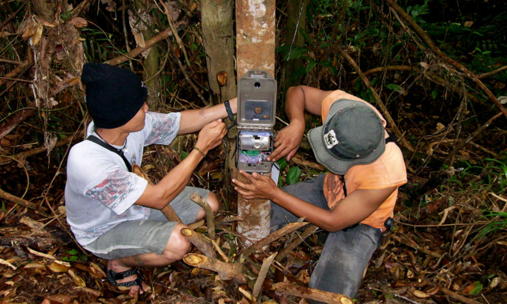 http://www.worldwildlife.org/pages/camera-trap-q-a