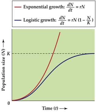 https://swh-826d.kxcdn.com/wp-content/uploads/2011/12/exponential-vs-logistic-growt.jpg