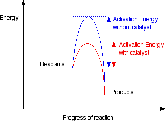 http://www.chemguide.co.uk/physical/basicrates/catalyst.html