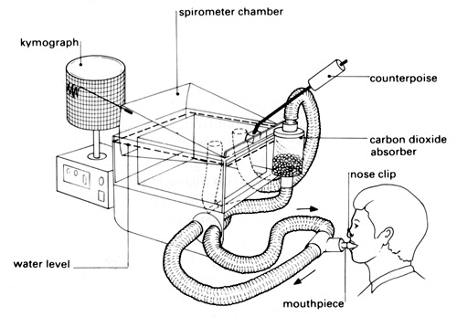 http://www.nuffieldfoundation.org/practical-biology/using-spirometer-investigate-human-lung-function
