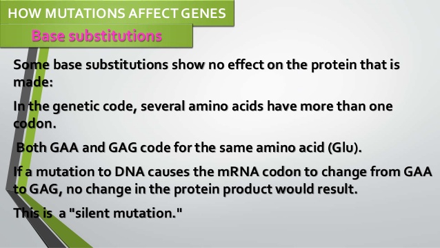 http://www.slideshare.net/SofiaPazM/mutations-can-change-the-meaning-of-genes
