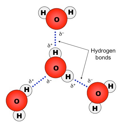 https://chemistryonline.guru/hydrogen-bond/