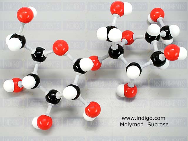 https://www.indigo.com/molecular_models/molymod/kits/sucrose-chemical-structure-molecule-model-62115.html#.Vwmo3DHSlvo