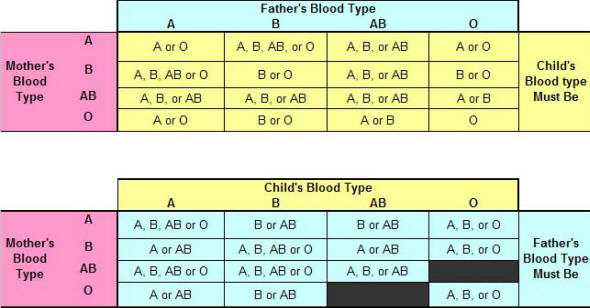 My Newborn Child Is Ab And My Husband S Blood Type Is O My Blood Type Is A Is This Possible Socratic