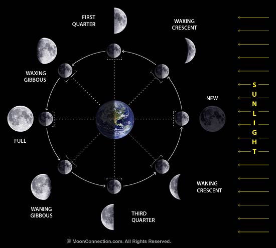 Phases moon The 8