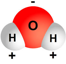 https://www.enotes.com/homework-help/how-polar-nature-water-molecules-affect-ability-626354