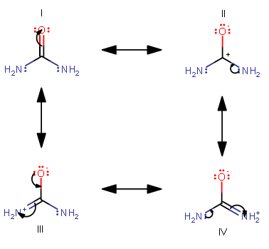 The allyl carbocation is stabilized in a similar manner with two resonance structures...