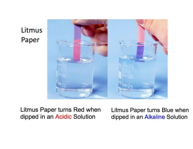 Explain effect of acids on methyl orange and litmus |