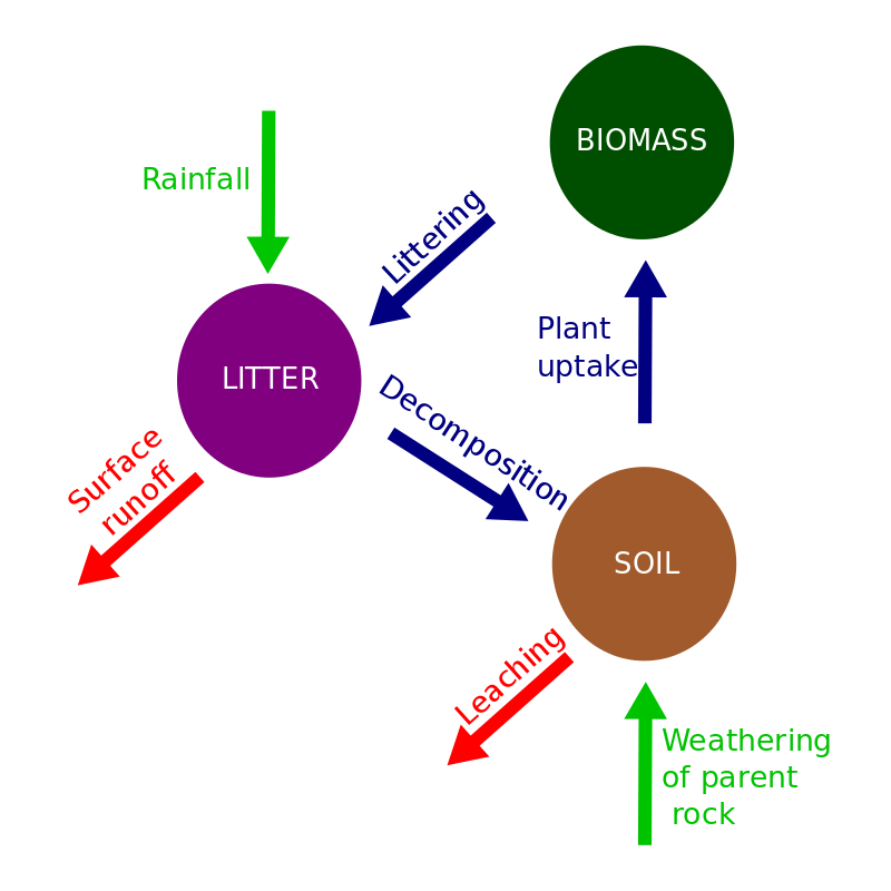 https://en.wikipedia.org/wiki/Nutrient_cycle#/media/File:Nutrient_cyclesvg