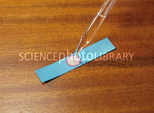 https://www.sciencephoto.com/media/4495/view/cobalt-chloride-paper-with-drop-of-water