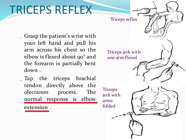triceps tendon reflex