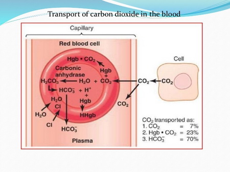 CO2 Transport