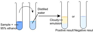 https://www.toktol.com/notes/context/3389/biology/lipids/ethanol-emulsion-test-for-lipids