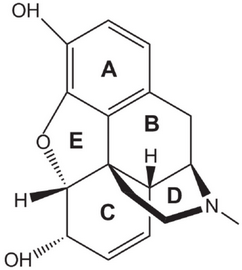 Morphine