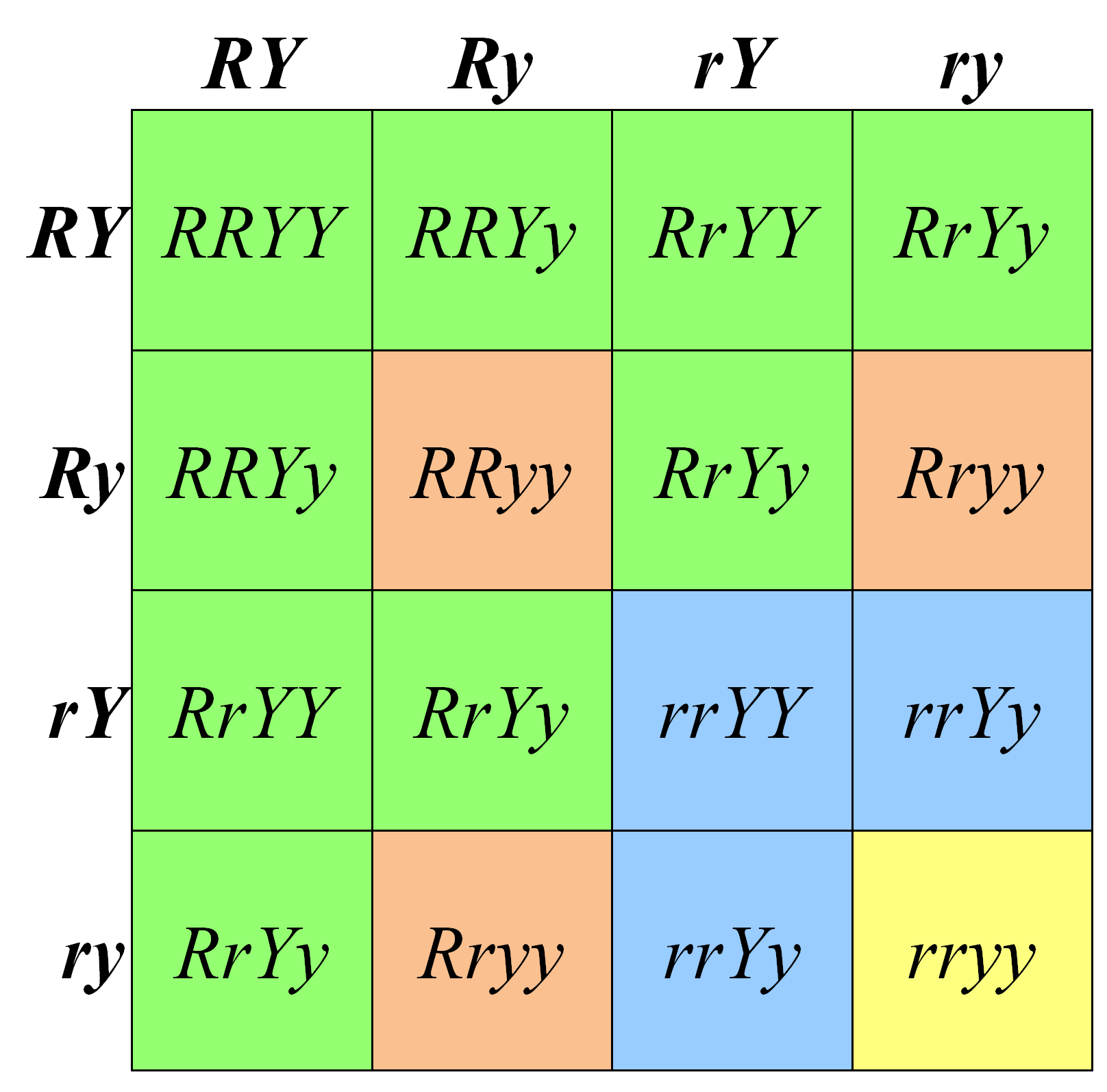Dihybrid Punnett Square Heterozygous The Punnets Square Shows A Text Cross Of Mice That Are