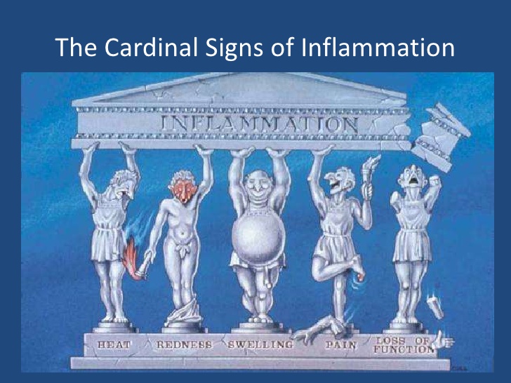 What are the 4 cardinal signs?