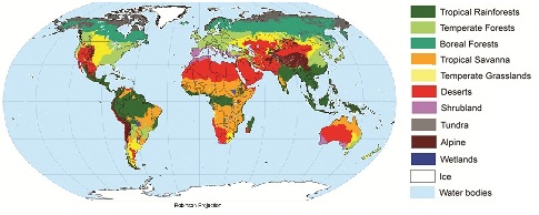 http://www.soils4teachers.org/around-the-world