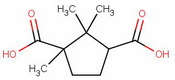 Camphoric acid VI