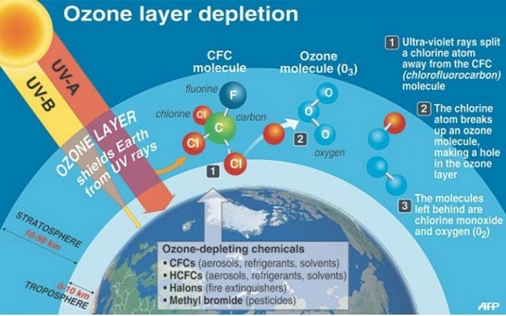 http://eco-globe.com/what-destroys-the-earths-ozone-layer/