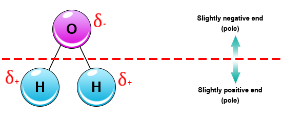 http://images.tutorvista.com/cms/images/44/polar-water-molecule.png