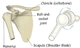 http://kefei04.com/ball-and-socket-joint/