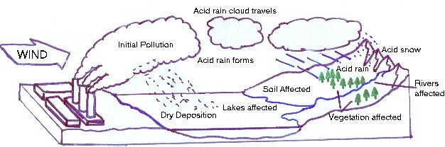 Figure12 Samare and effects of acid rain on living beings and also   Download Scientific Diagram