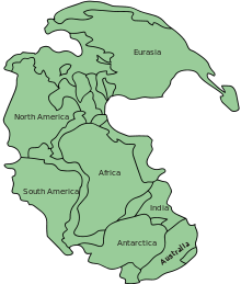 https://en.wikipedia.org/wiki/Pangaea image source here