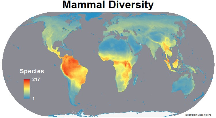 http://biodiversitymapping.org/wordpress/index.php/mammals/