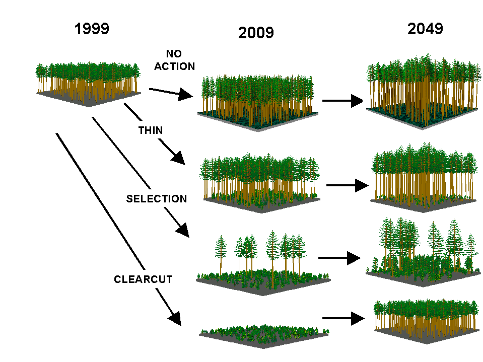 http://landscapemanagementsystem.org/ecosystem-management/silviculture1.html
