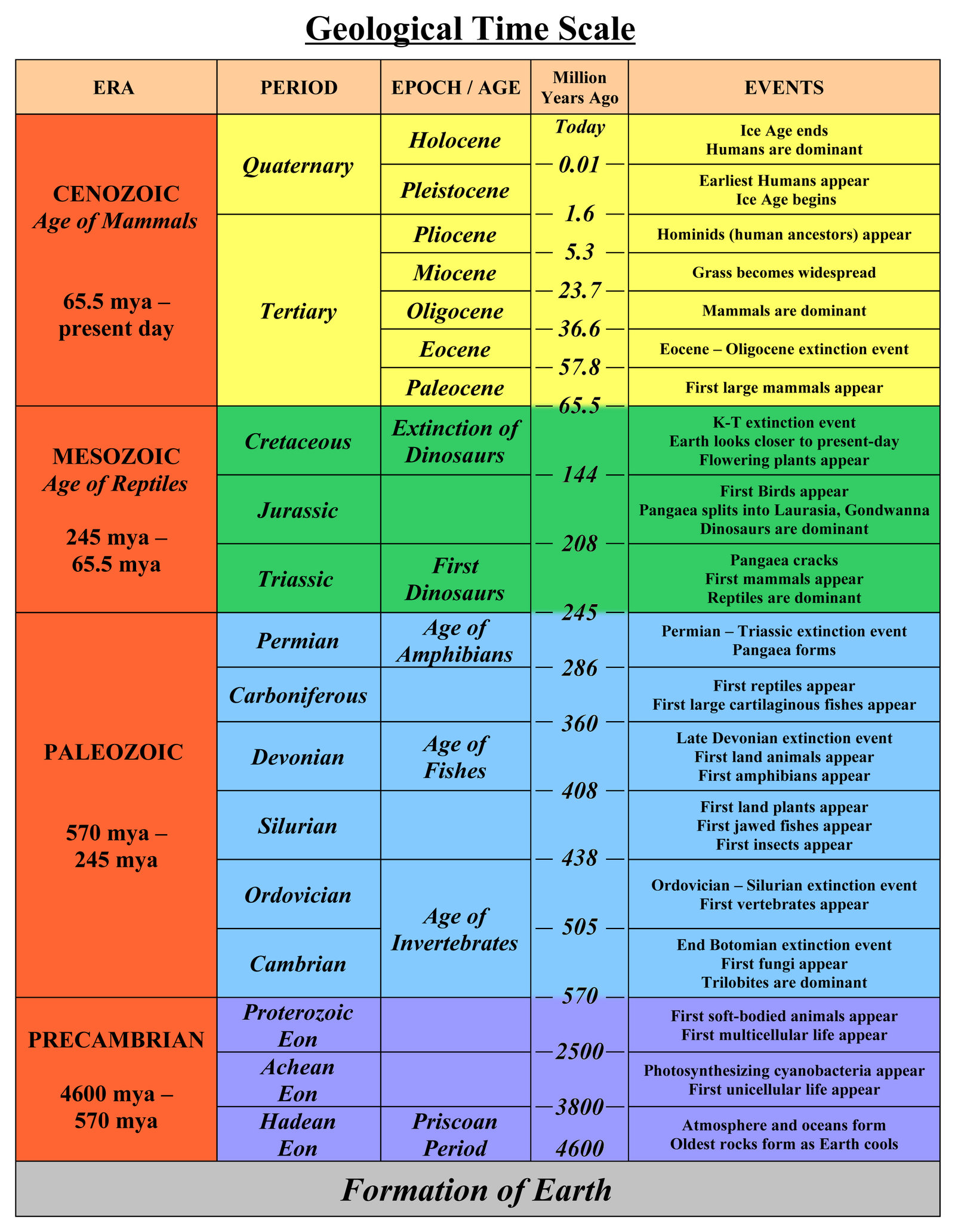 What Are The Three Eras Within The Phanerozoic Eon Socratic