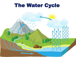 Can someone define and list the three processes in the water cycle