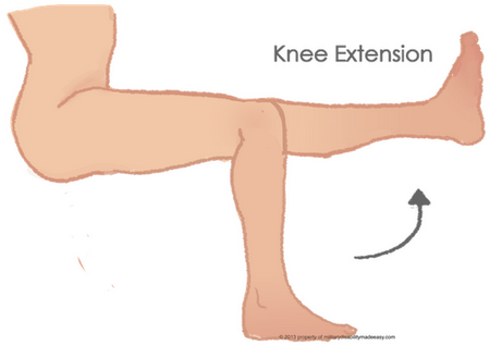 Knee Extension