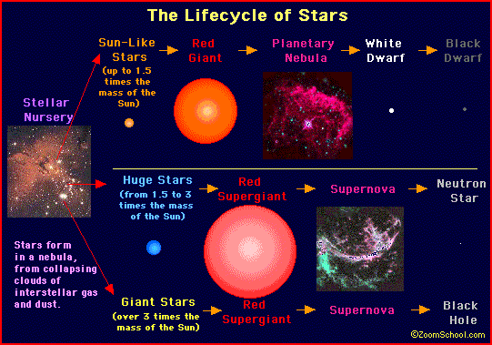 life cycle of a sun like star