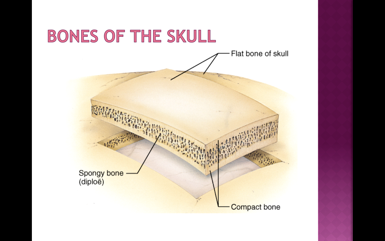 In a cross section of a bone, you can usually see two ...