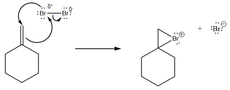 The Br will be added to the structure in a cyclic formation