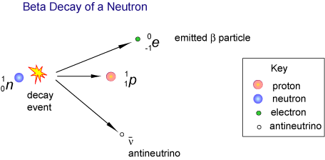 beta plus decay neutrino