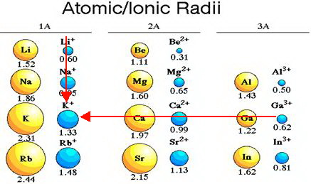 Ionic Radiiii