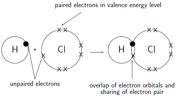 How many single covalent bonds can halogens form? | Socratic
