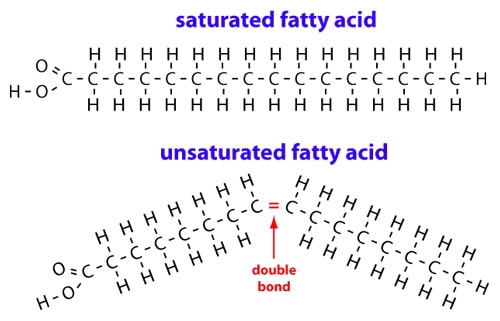 polyunsaturated fat molecule