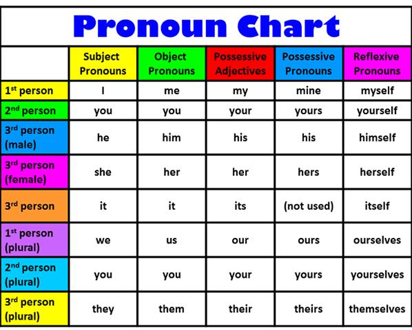Identify The Pronoun In The Following Sentence Worksheet