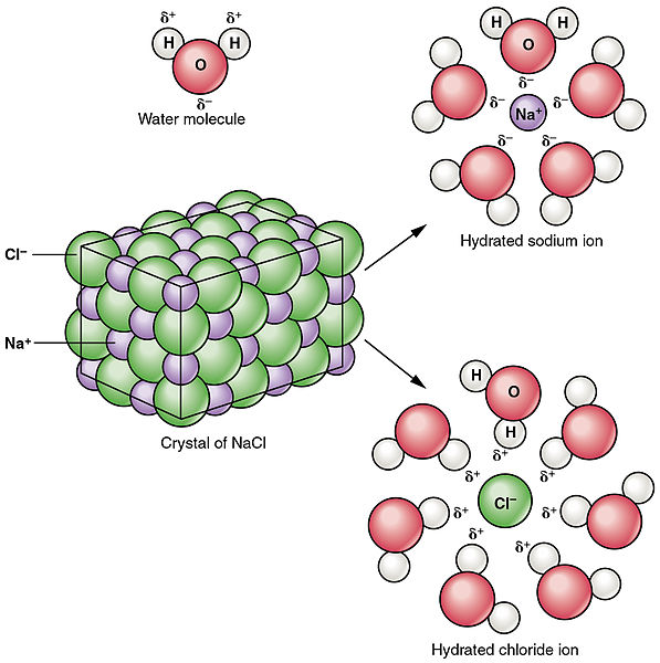 Molecular Solid H2o
