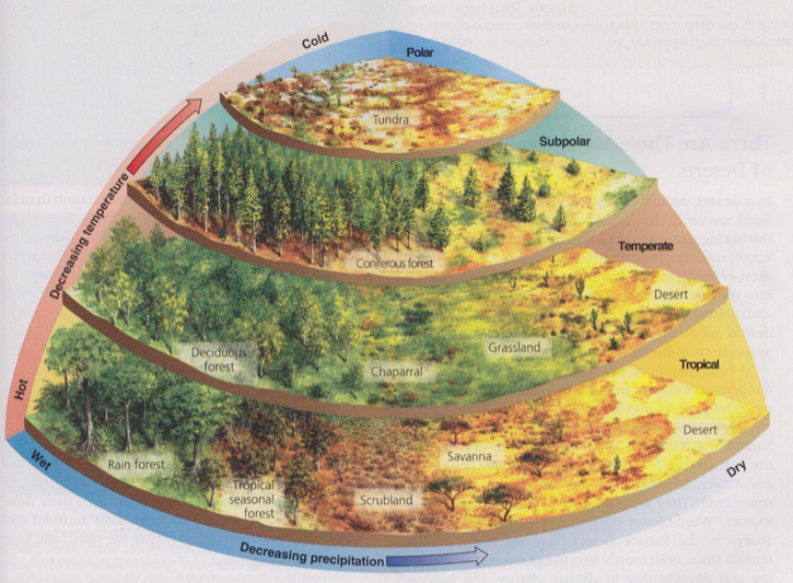 http://inkwellideas.com/2013/04/excellent-climatebiome-diagram-for-worldbuilders/