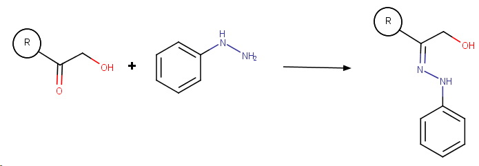 Phenylhydrazone