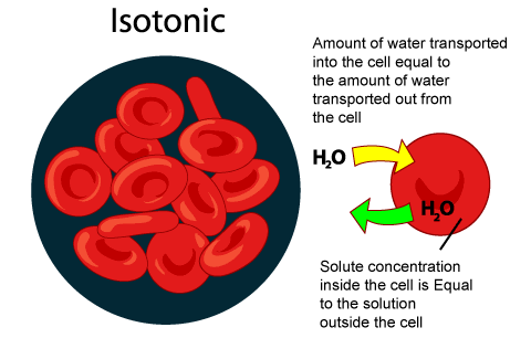 Isotonic Solution  