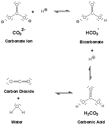 https://www2.bc.edu/martha-teeter/Courses/life_sciences_chemistry.htm