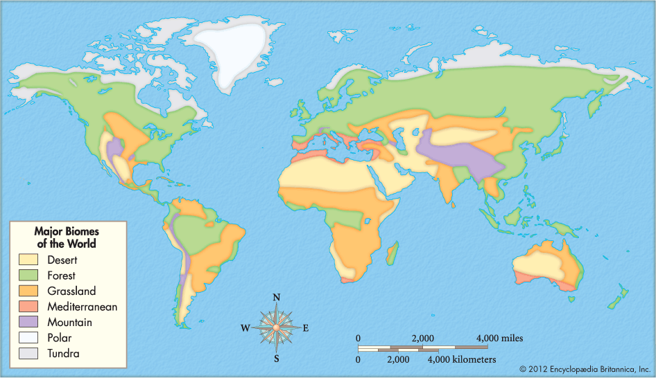 http://kids.britannica.com/elementary/art-88174/The-major-biomes-of-the-world-are-represented-on-this
