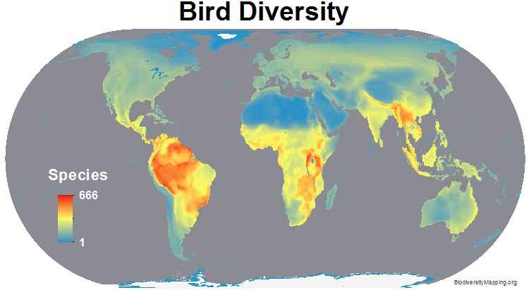 http://biodiversitymapping.org/wordpress/index.php/birds/