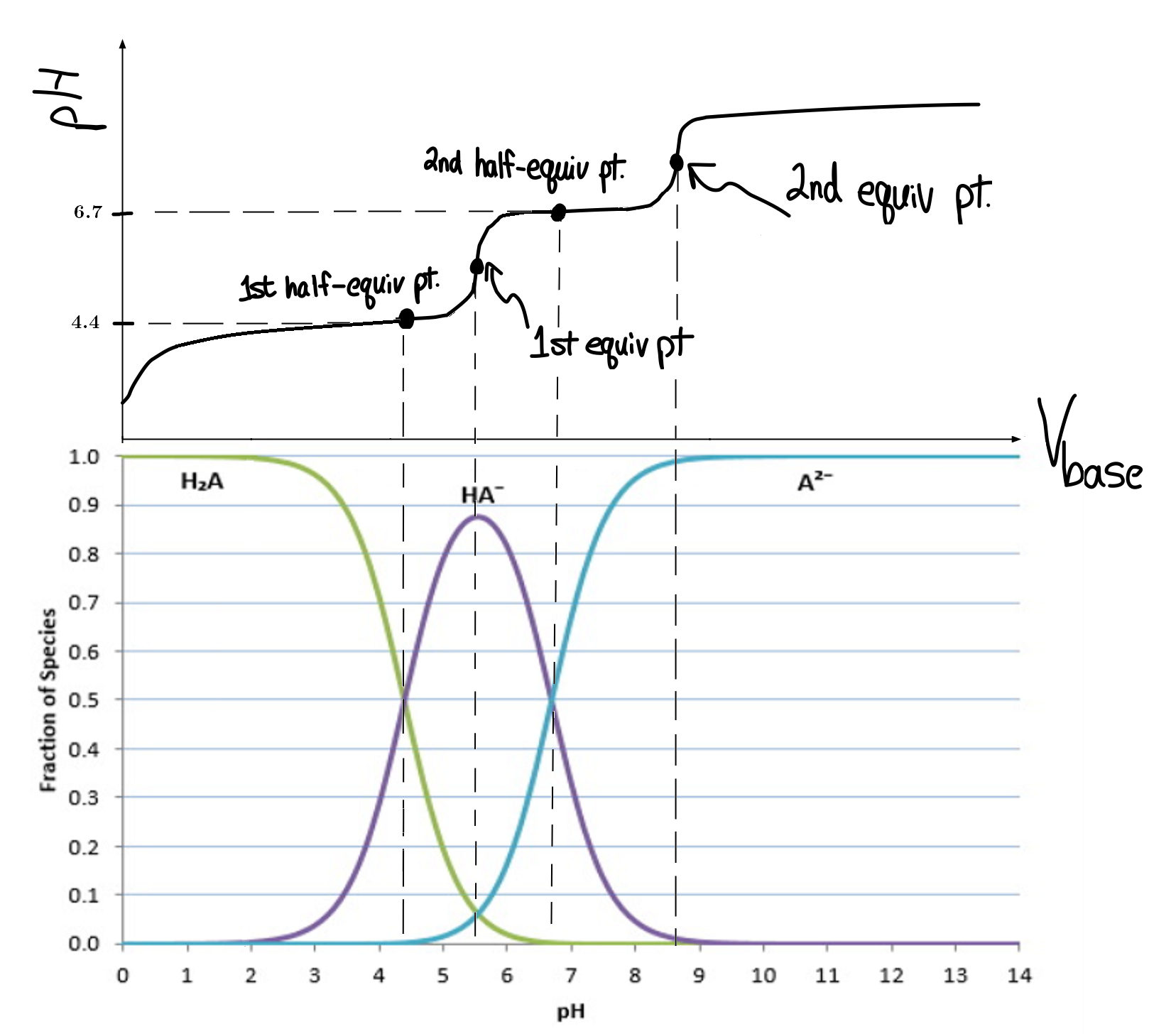 Titration Curve (Truong-Son N.) + Distribution Graph (Ernest Z.)
