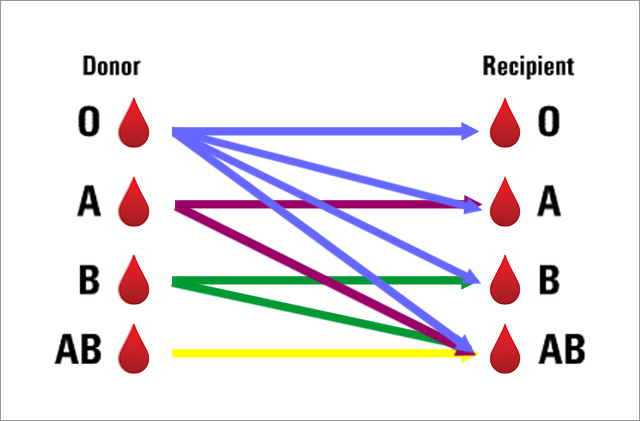 http://m.redcrossblood.org/learn-about-blood/blood-types