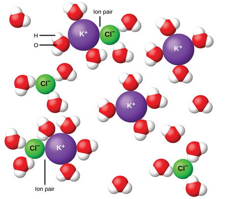 Ion pairs